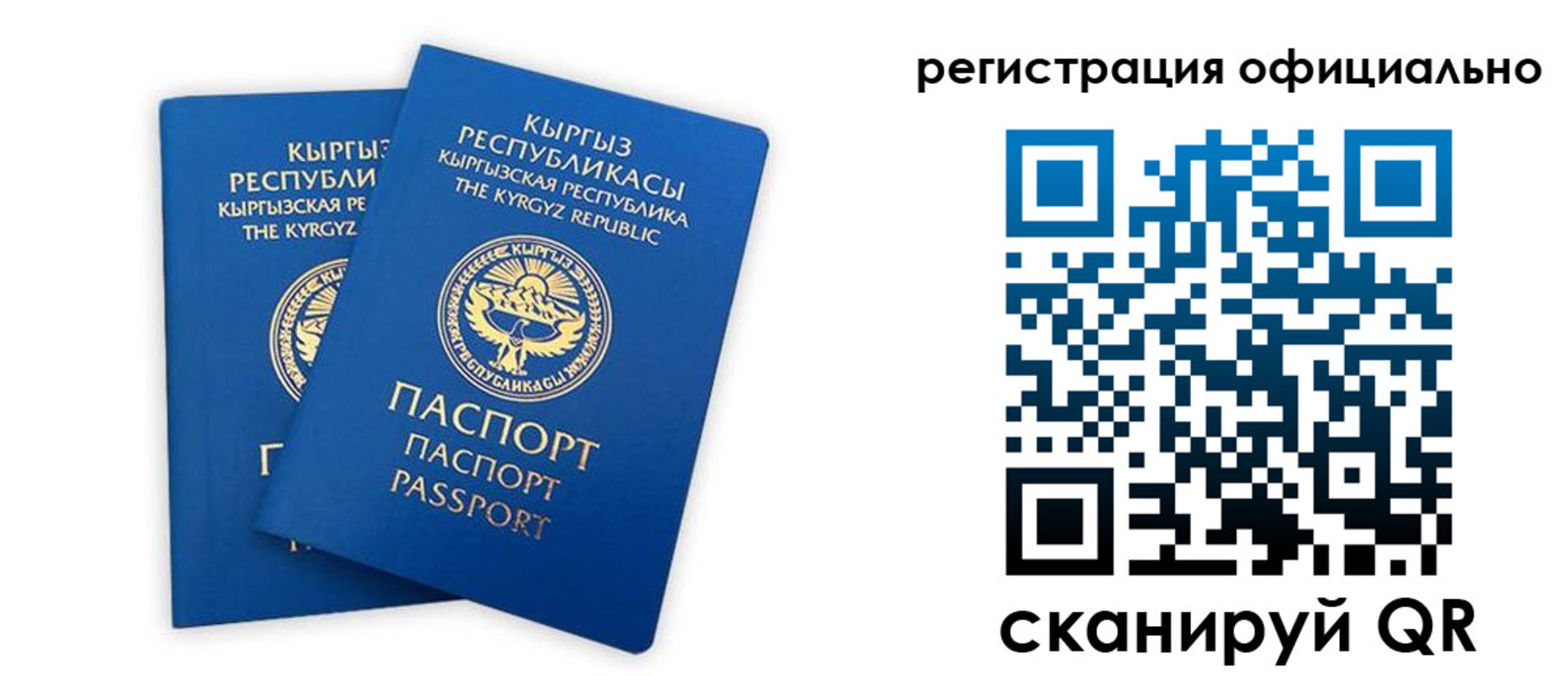 прописка поиск в Аткарске